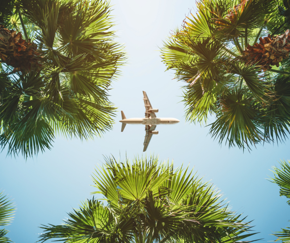 Airplane flying over palm trees